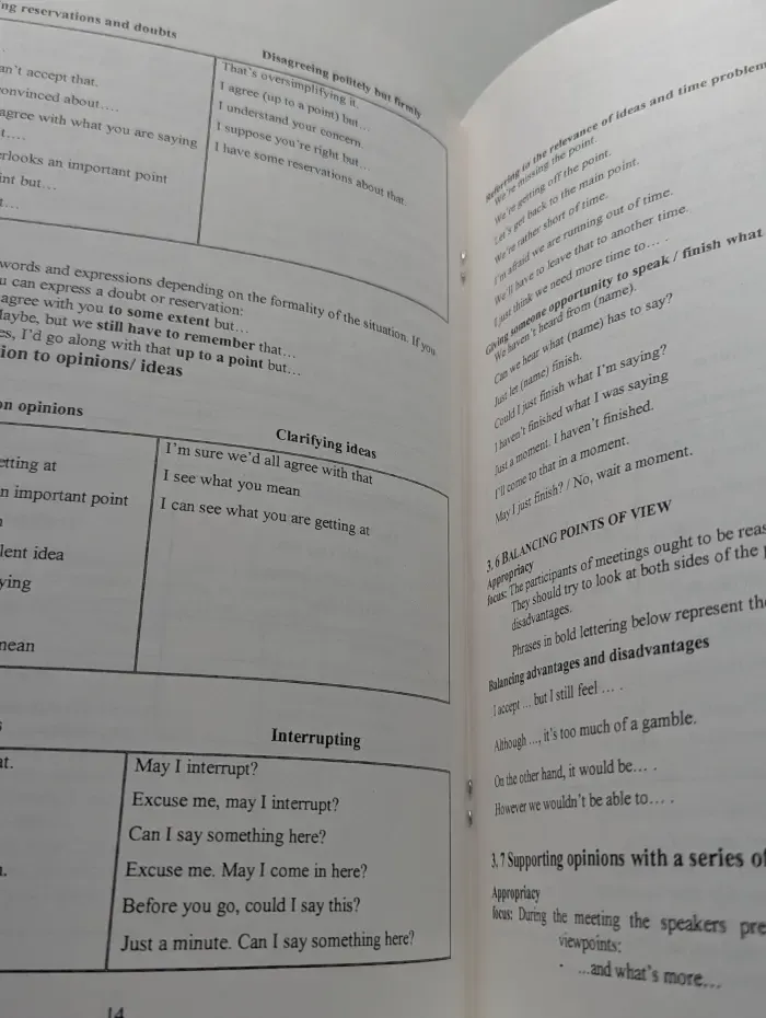 Meeting as a Language and Management Skill