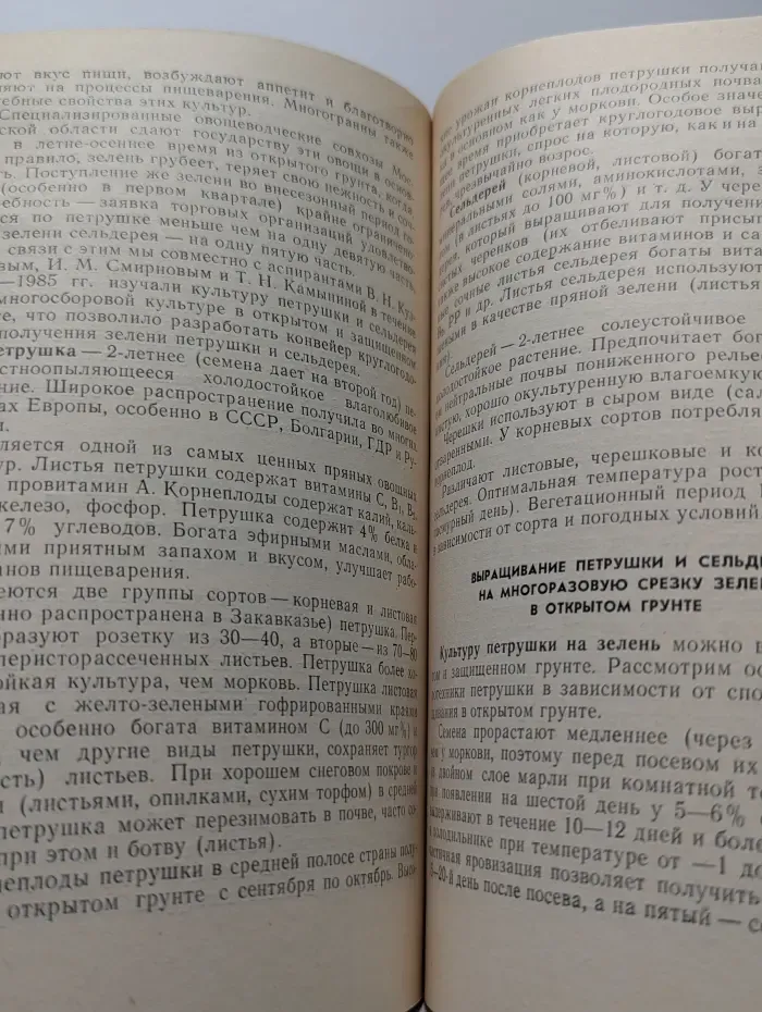 Конвейер зеленных овощей