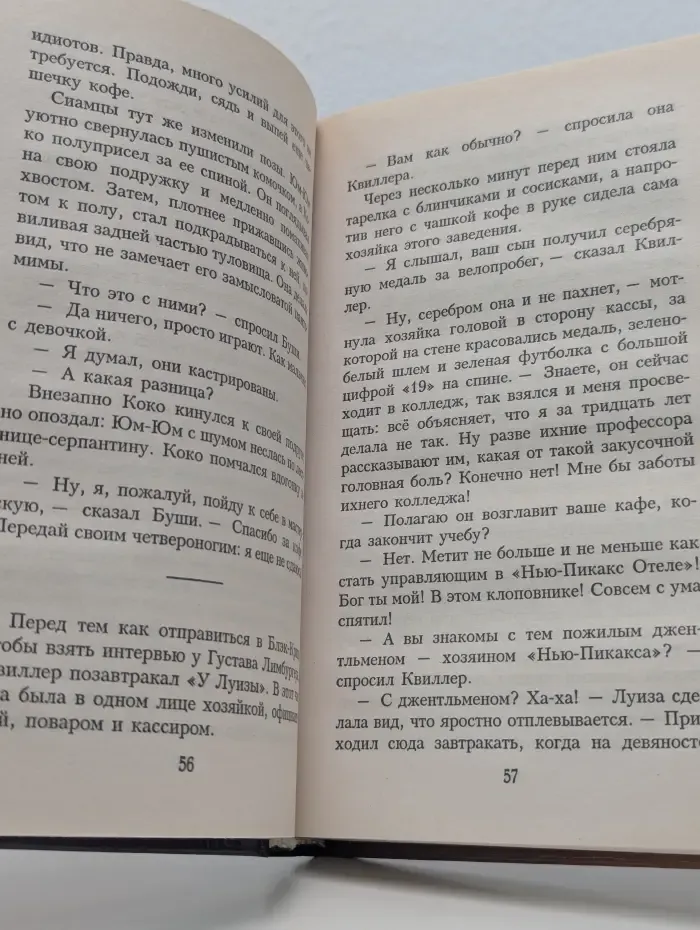 Новый детектив. Кот, который улыбался