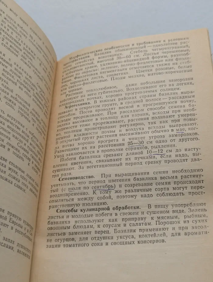 Новые овощные растения