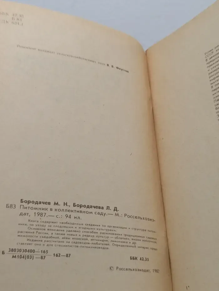 Питомник в коллективном саду