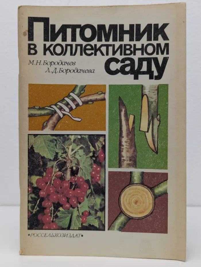 Питомник в коллективном саду