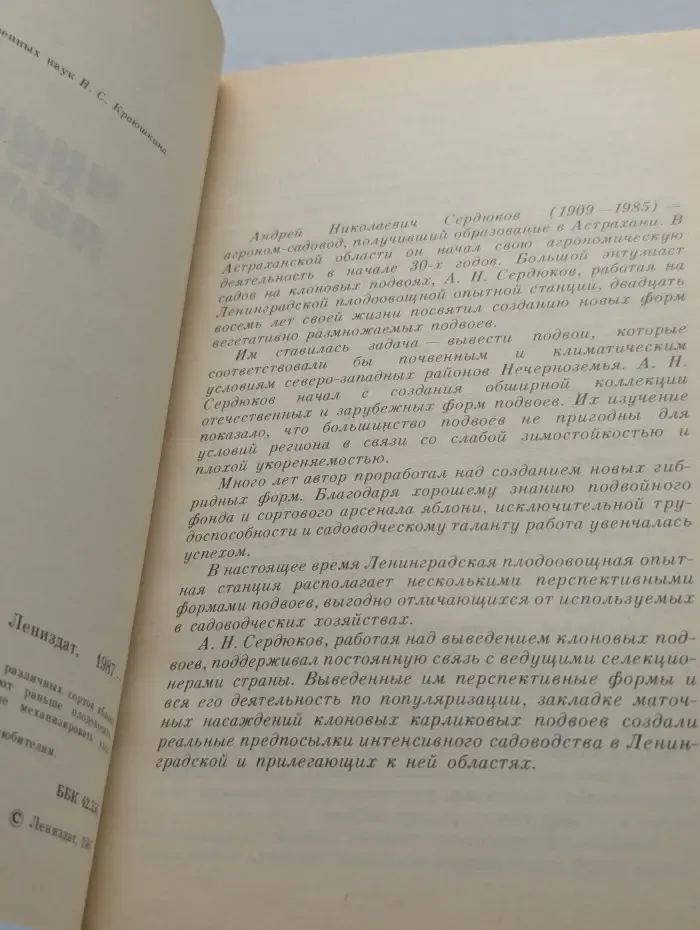 Чудесные яблоньки