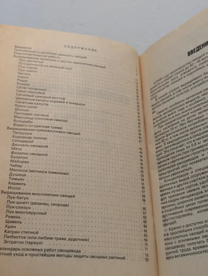 Витамины с грядки