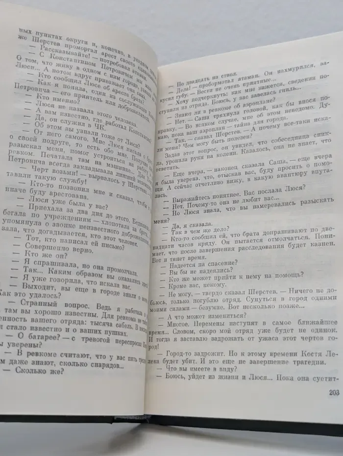 Детектив. Приключения. Долгий путь в лабиринте