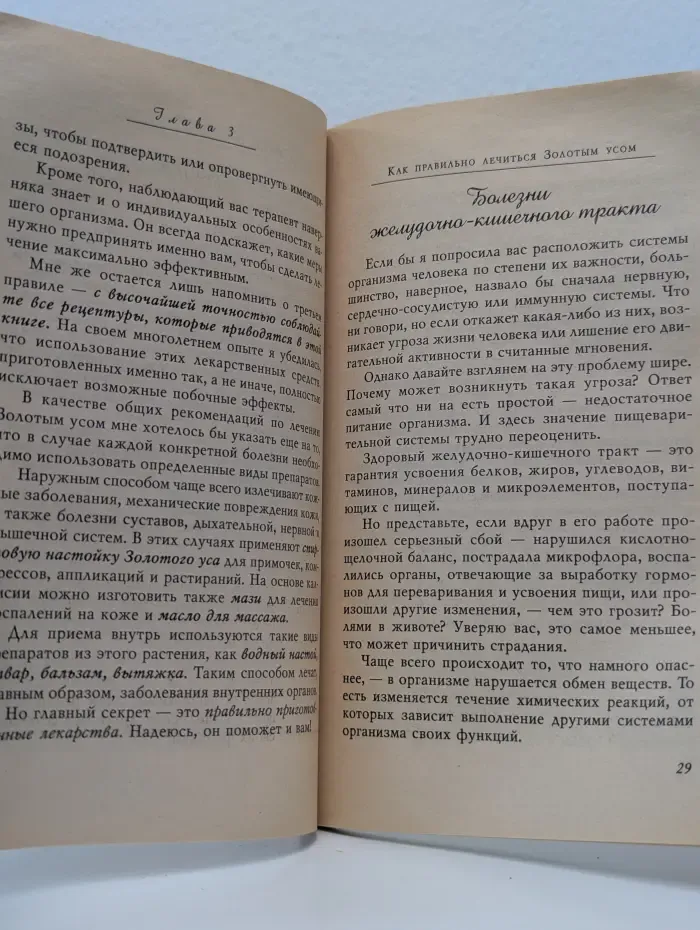 Золотой ус, или домашний женьшень