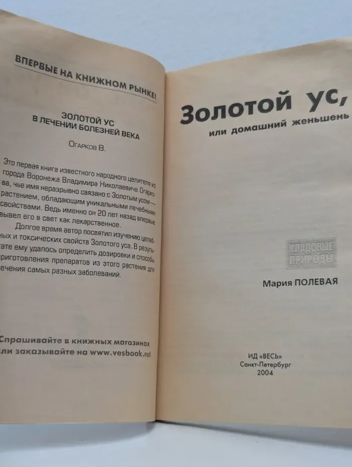 Золотой ус, или домашний женьшень