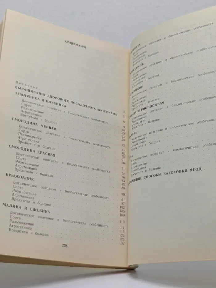 Ягодный сад