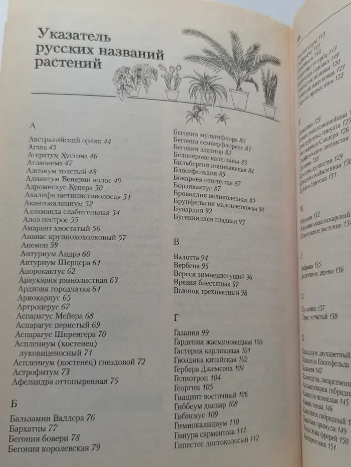 Цветы в вашем доме: Справочник от А до Я
