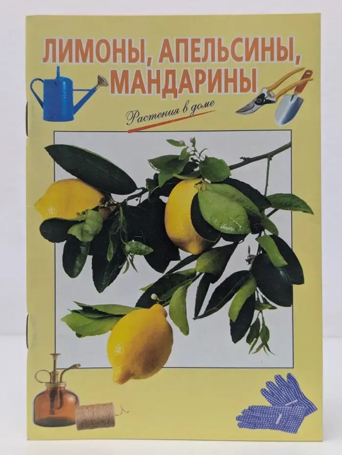 Растения в доме. Лимоны, апельсины, мандарины