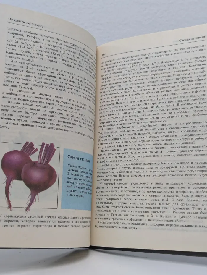 Овощная кулинария