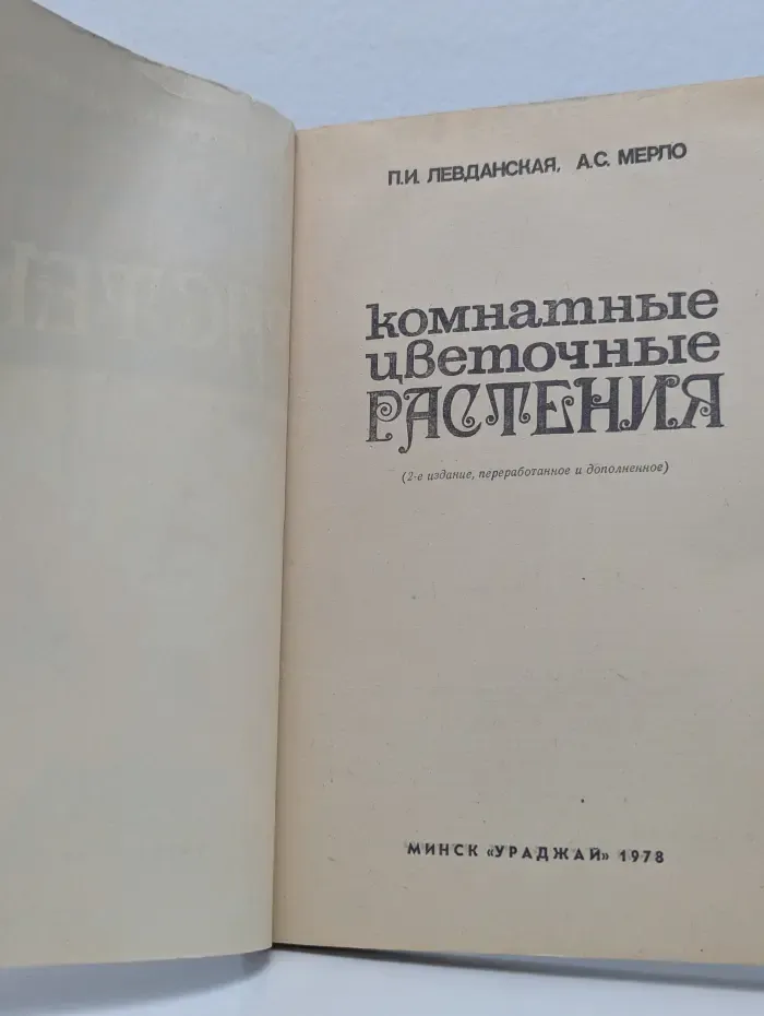 Комнатные цветочные растения