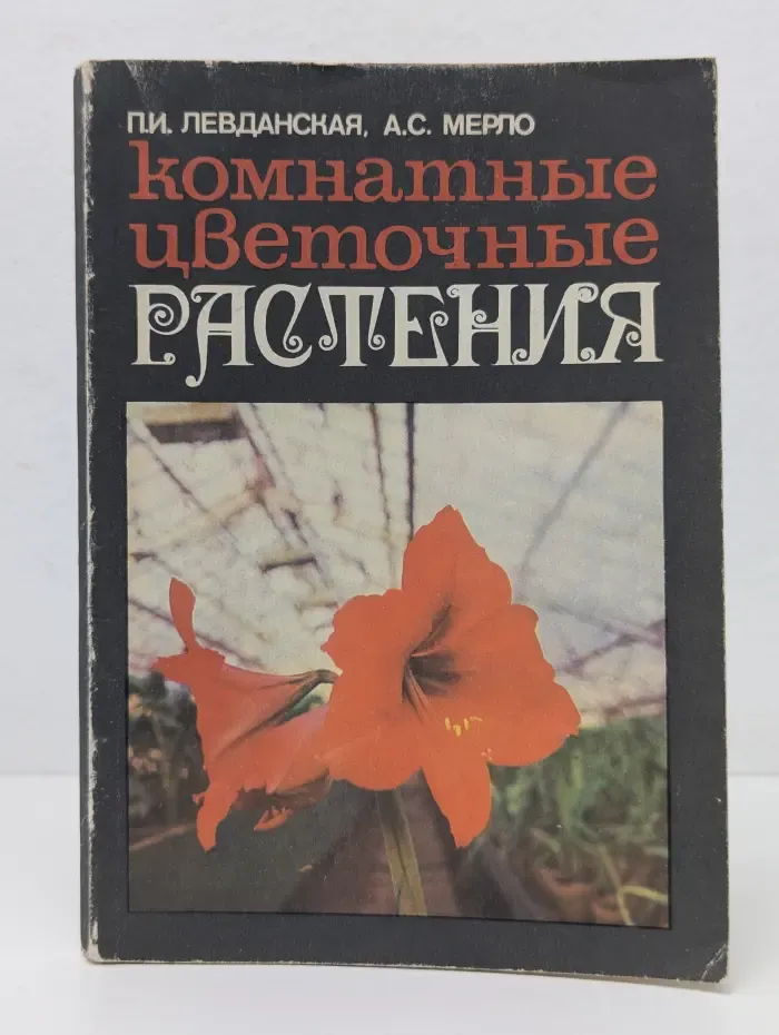 Комнатные цветочные растения