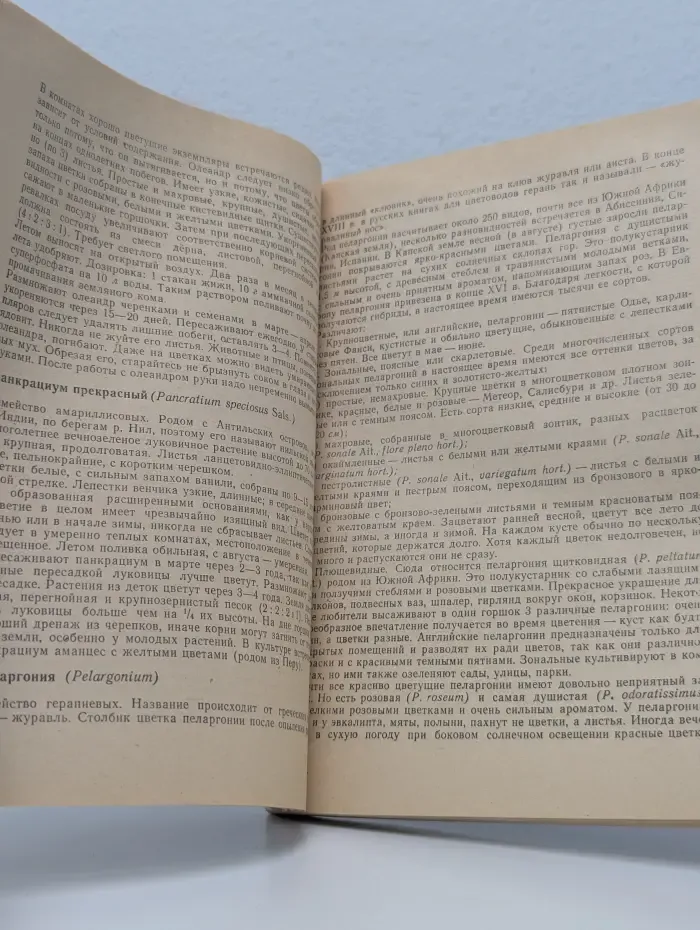 Комнатные цветочные растения