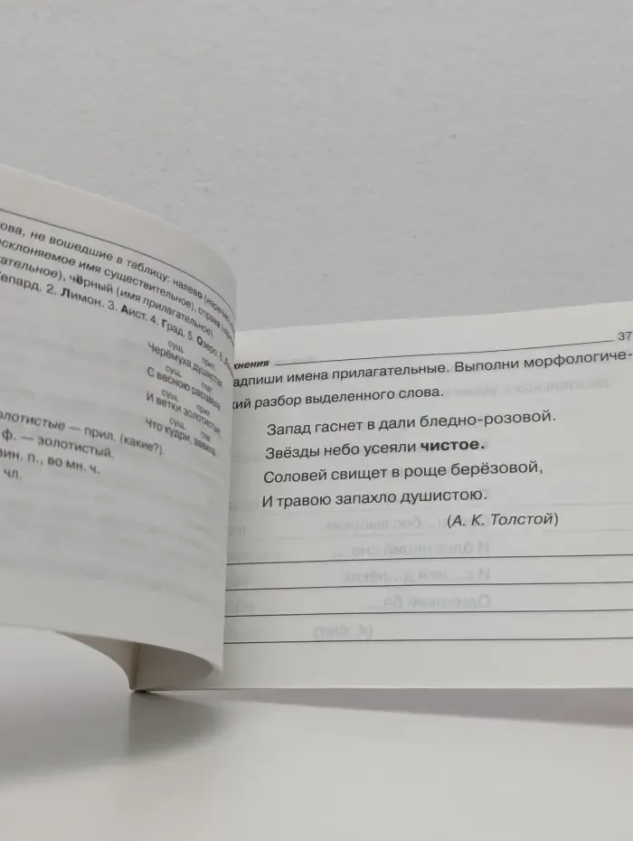 Проверяй-ка. Морфологический разбор 2-4 классы