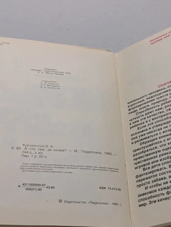А что там, за окном?