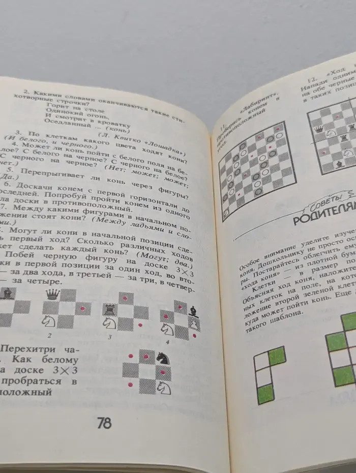 Приключения в шахматной стране