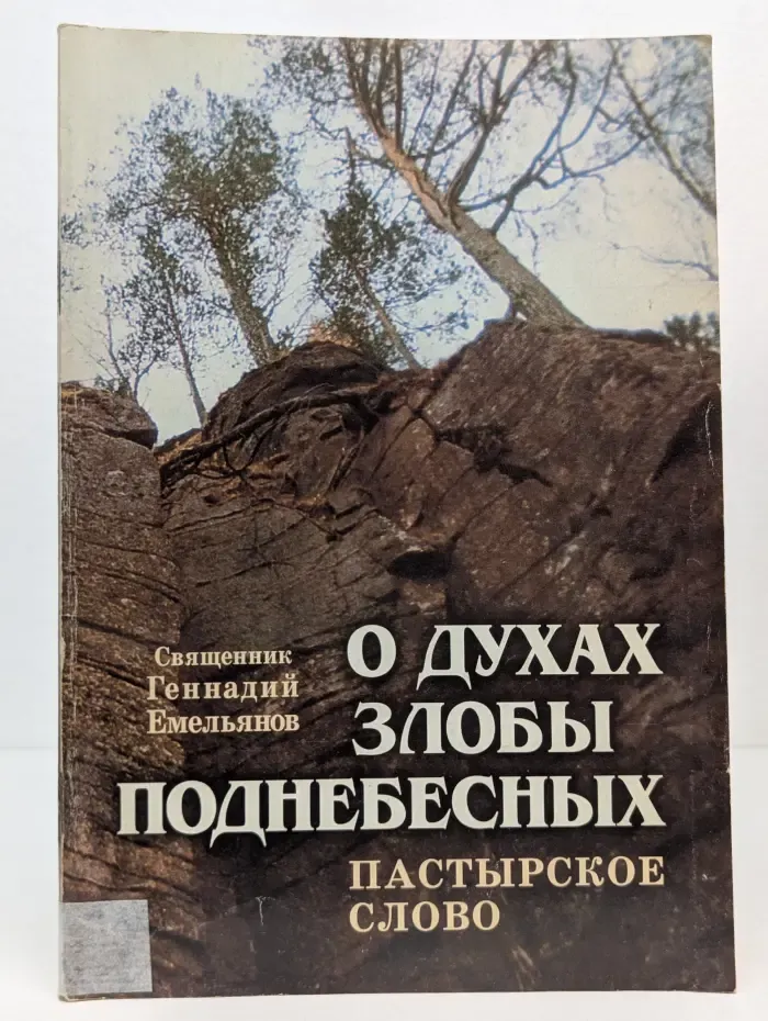 О духах злобы поднебесных. Пастырское слово