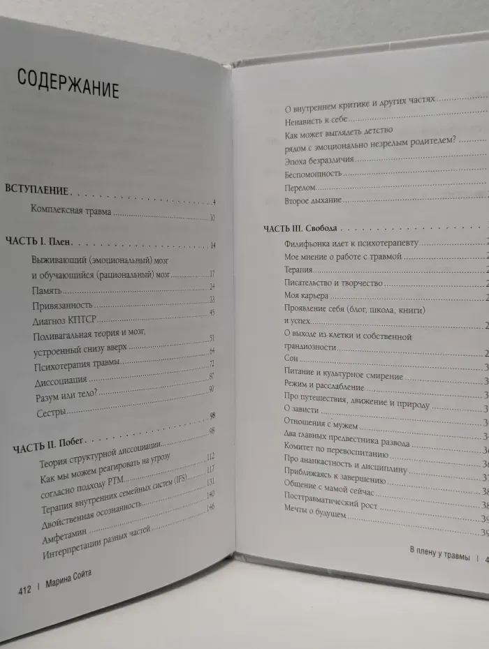 Хороший психолог. В плену у травмы. Как подружиться со своим тяжелым прошлым и обрести счастливую жизнь