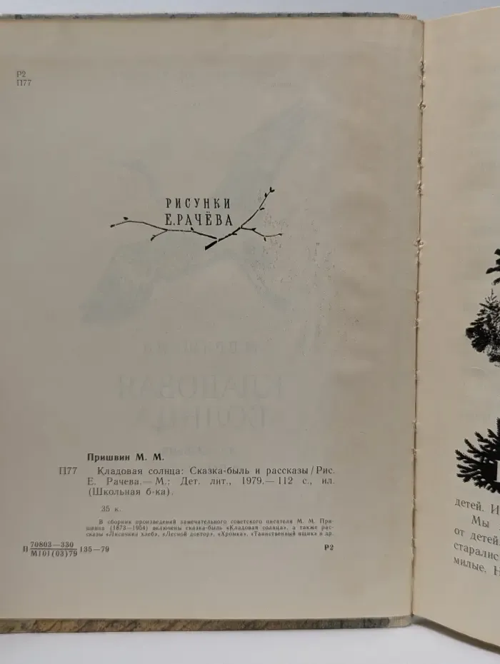 Школьная библиотека. Кладовая солнца