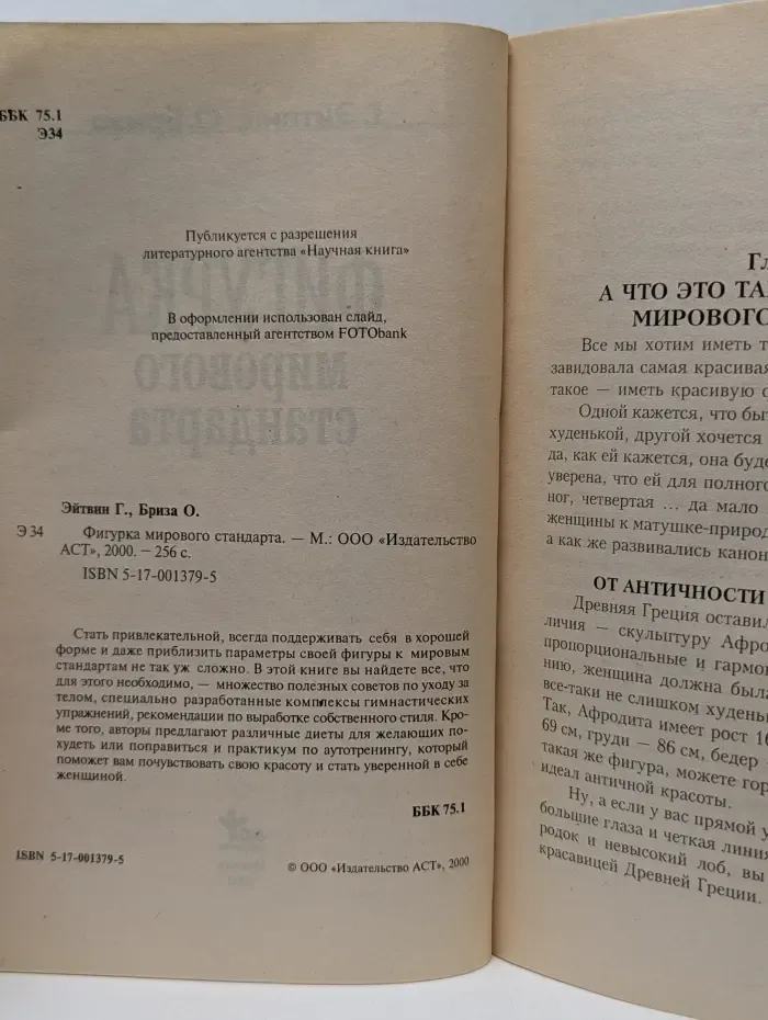 Фигурка мирового стандарта