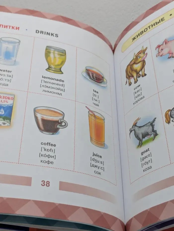 Визуальный словарь для детей. Детский англо-русский визуальный словарь