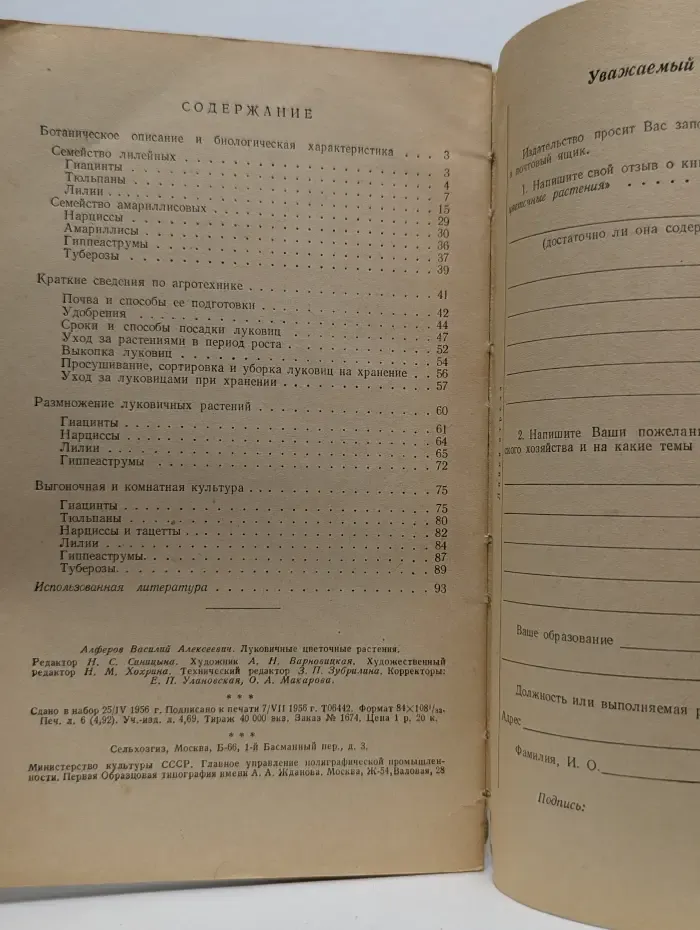 Луковичные цветочные растения