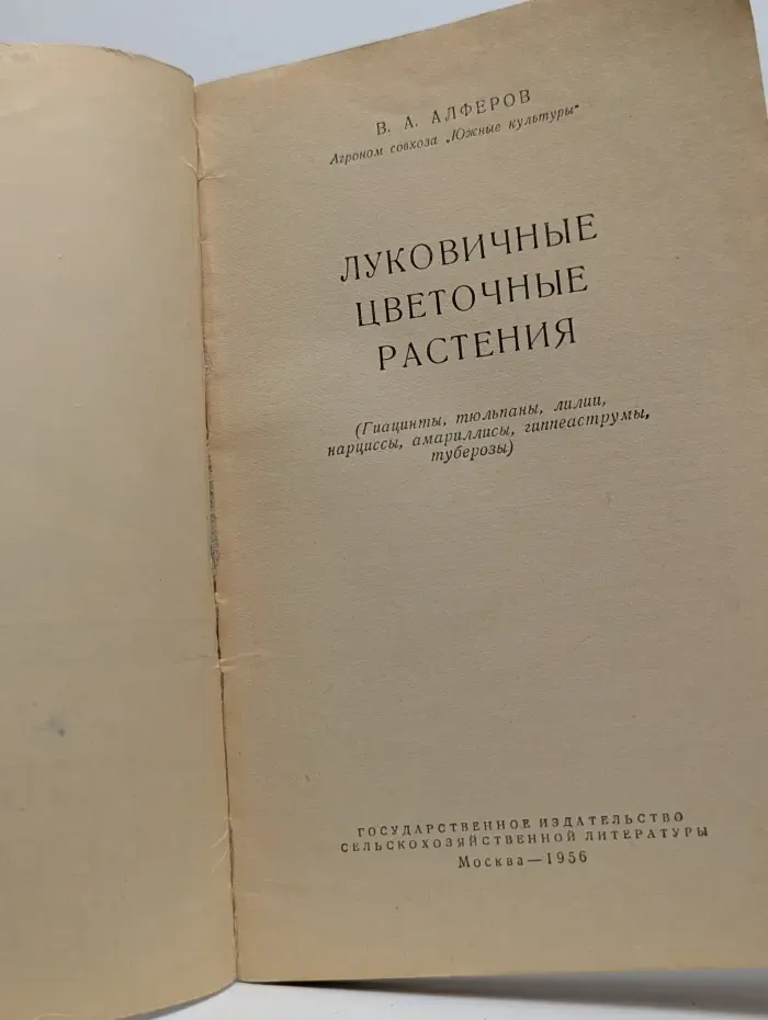 Луковичные цветочные растения