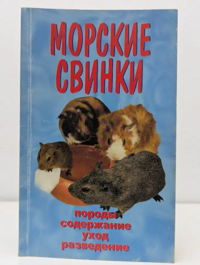 Морские свинки