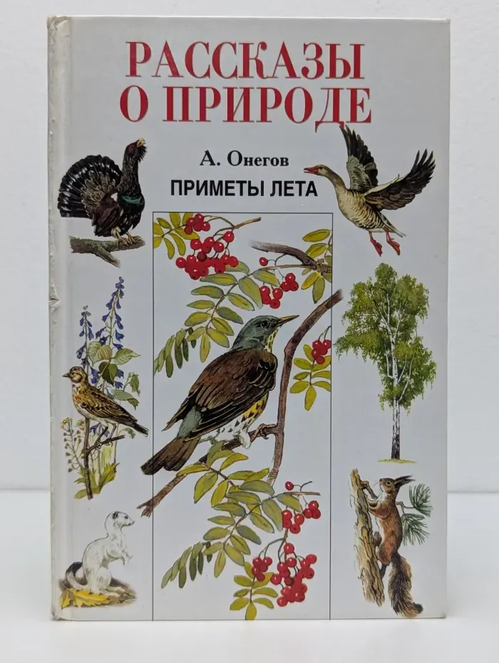 Приметы лета