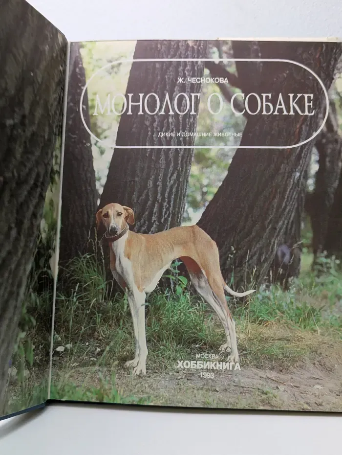 Монолог о собаке
