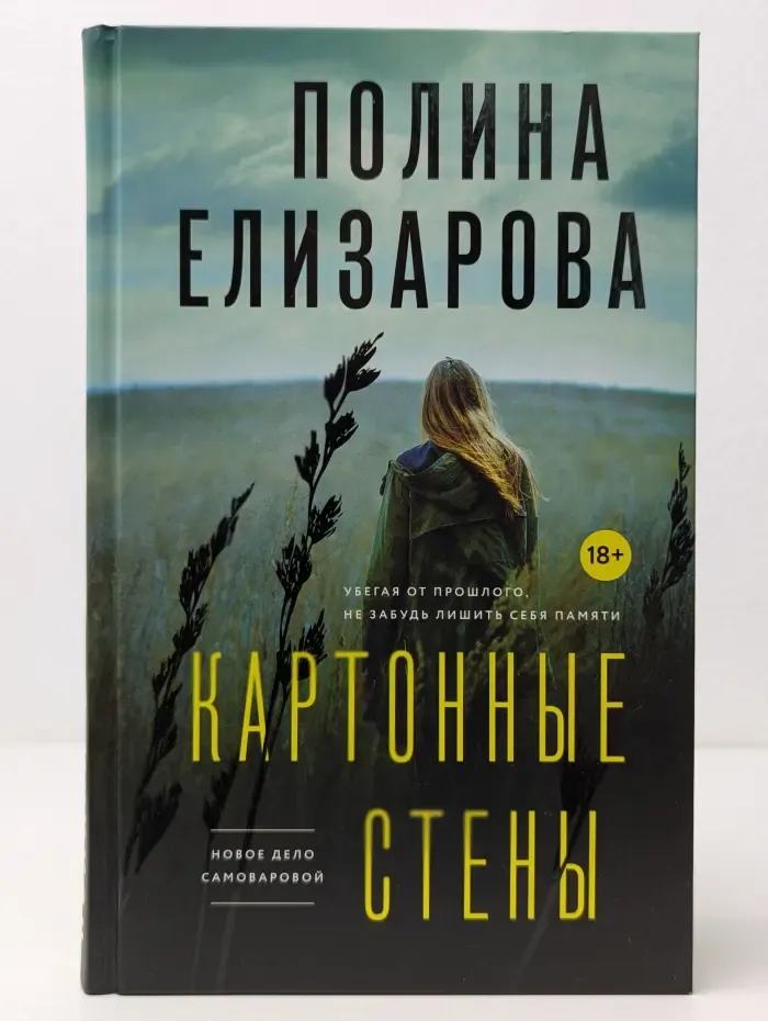 Другим взглядом. Психологические романы П. Елизаровой. Картонные стены