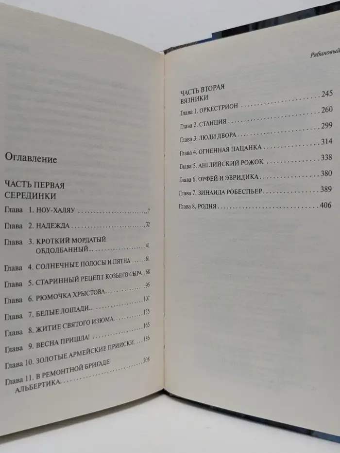 Наполеонов обоз. Книга 1. Рябиновый клин