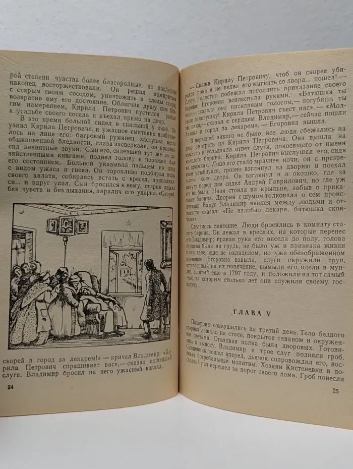 Школьная библиотека. Дубровский