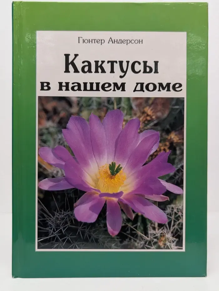 Кактусы в нашем доме
