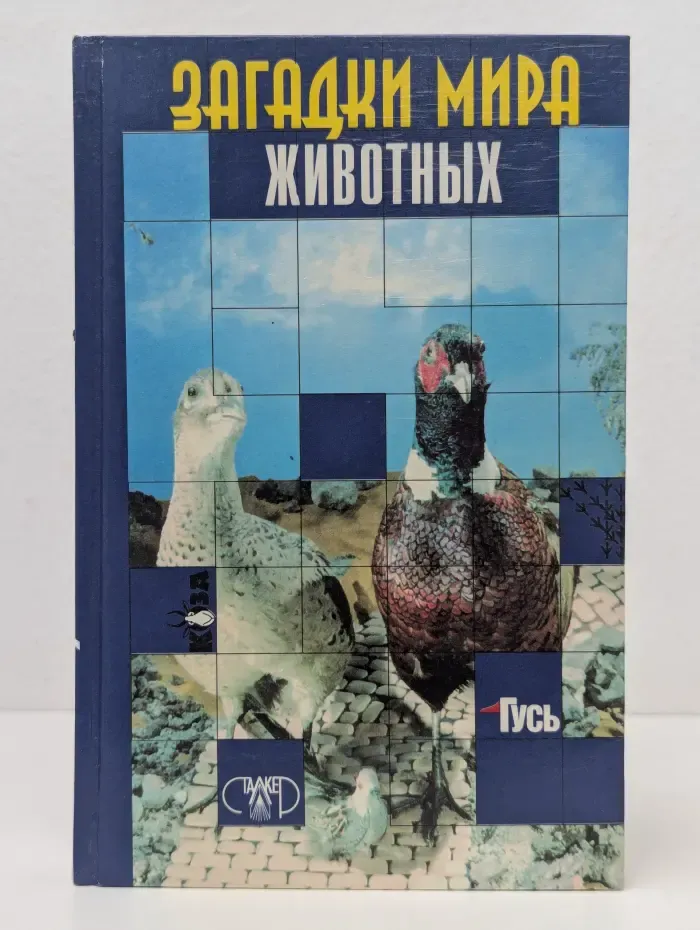 Загадки мира животных
