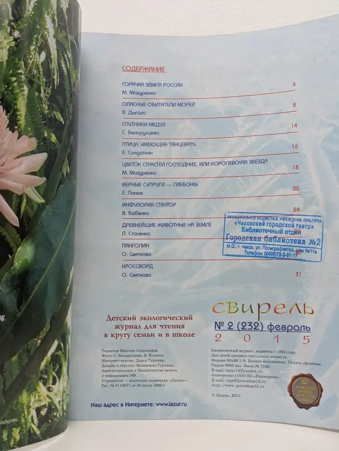 Свирель. Выпуск № 2/2015