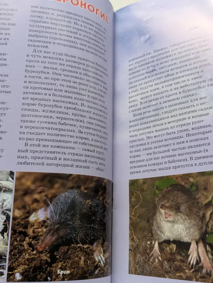 Свирель. Выпуск № 1/2018
