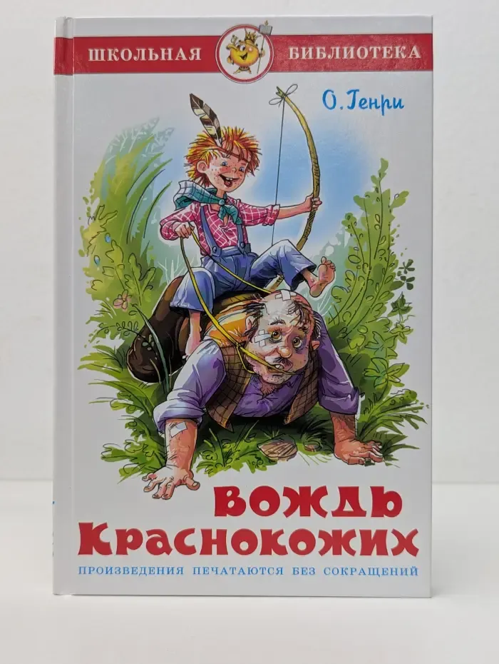 Школьная библиотека. Вождь краснокожих