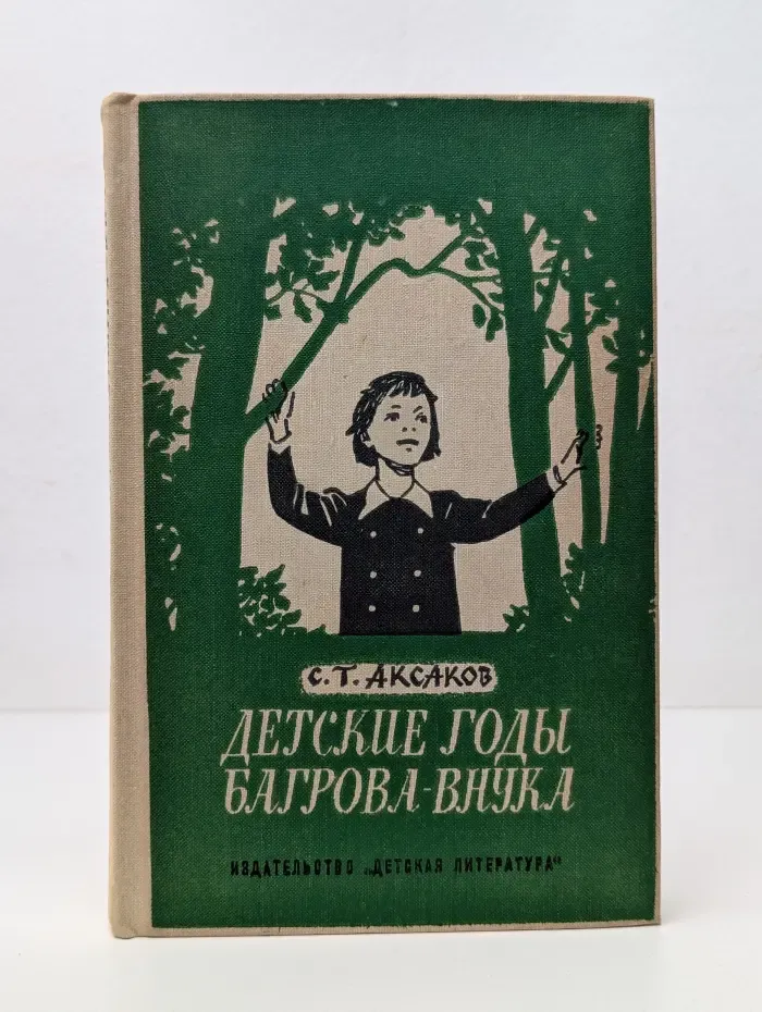 Школьная библиотека. Детские годы Багрова-внука