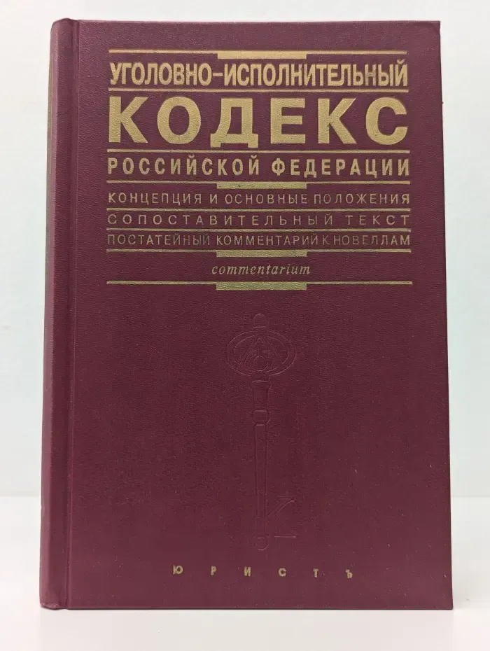 Уголовно-исполнительный кодекс Российской Федерации. Концепция и основные положения. Сопоставительный текст. Постатейный комментарий к новеллам