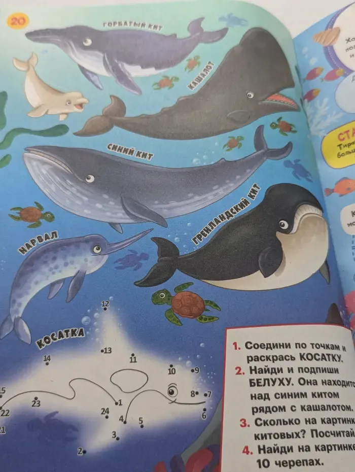 Непоседа. Выпуск № 21/2022