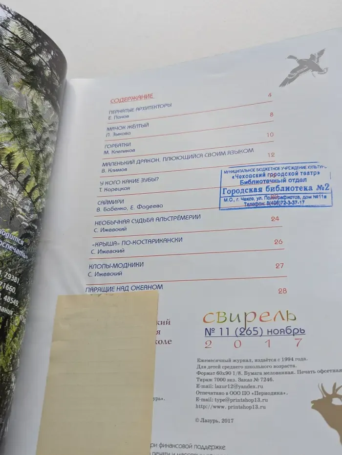 Свирель. Выпуск № 11/2017