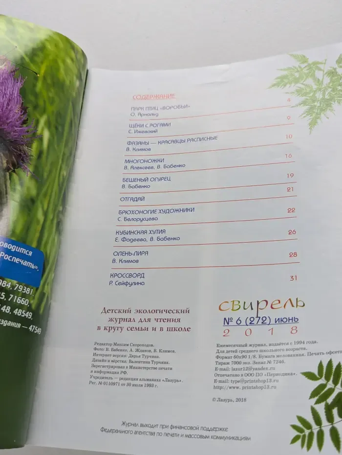 Свирель. Выпуск № 6/2018
