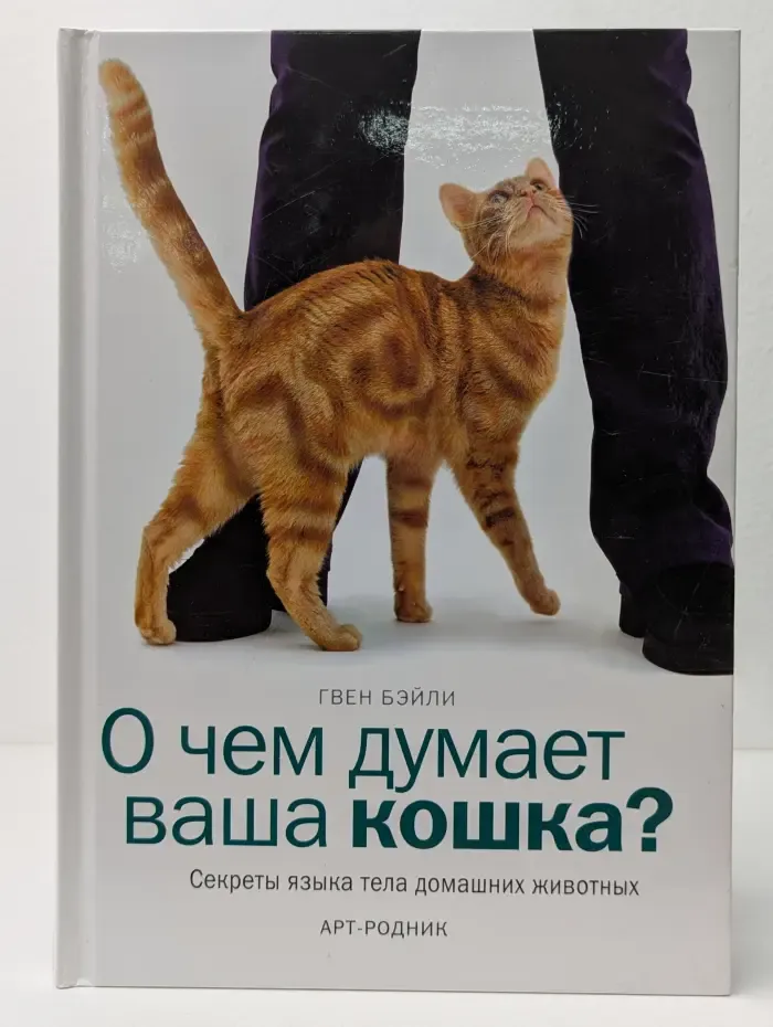 О чем думает ваша кошка? Секреты языка тела домашних животных