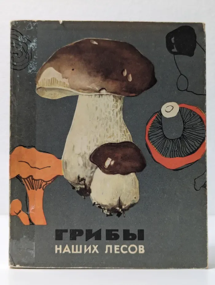 Грибы наших лесов