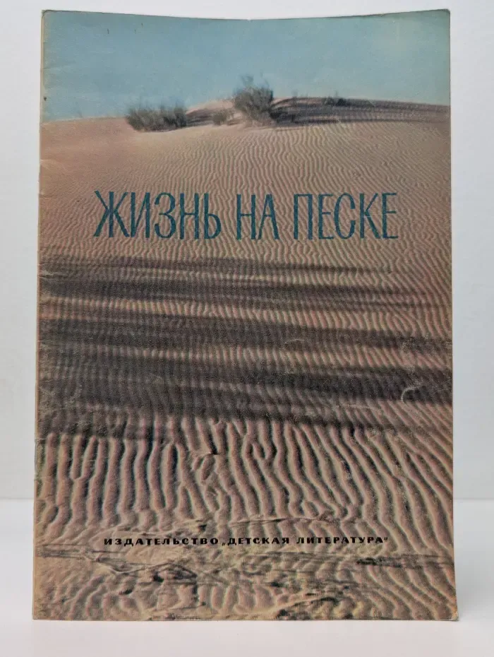 Жизнь на песке