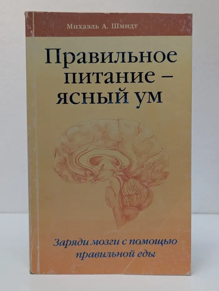 Правильное питание — ясный ум. Заряди мозги с помощью правильной еды