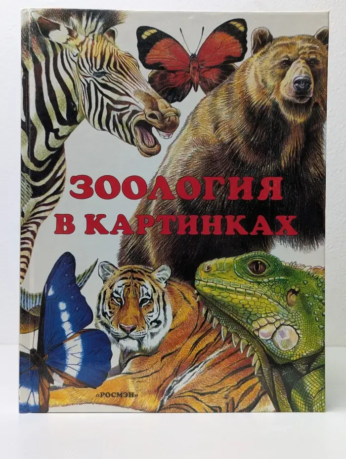 Зоология в картинках