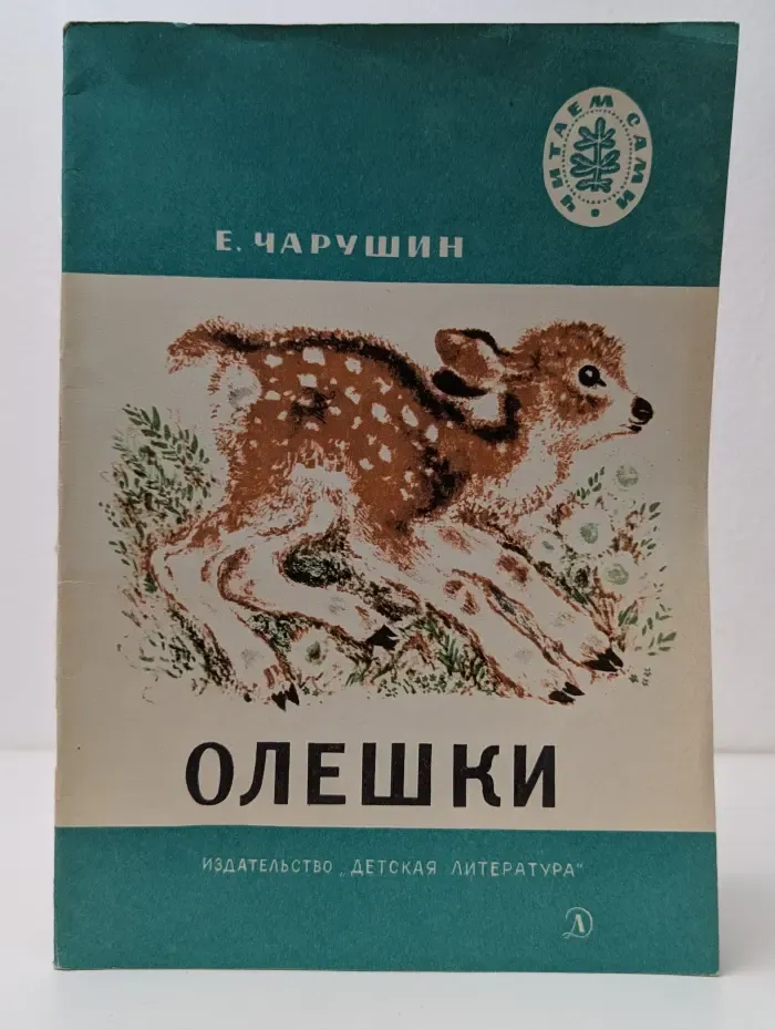 Школьная библиотека. Олешки